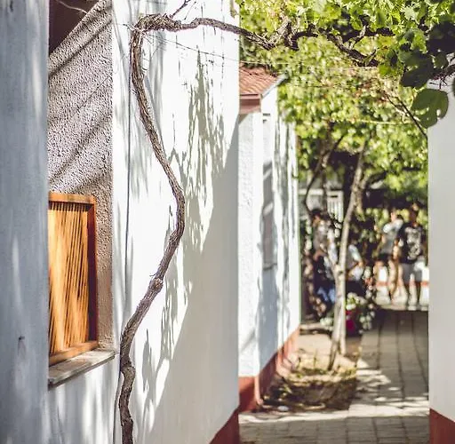 Villaggio La Pantera Rosa 斯卡莱阿